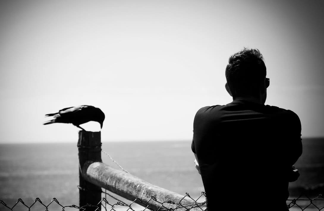 Риски при создании сайта. Анализ рисков веб-проектов