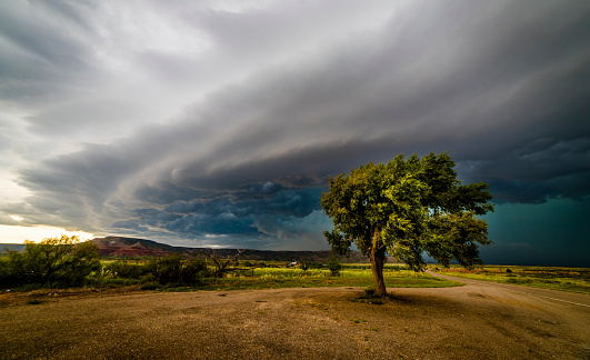 Распространенные методологии разработки веб-приложений